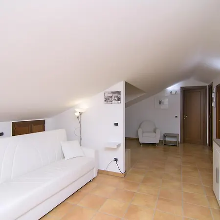 Dominella 2 *